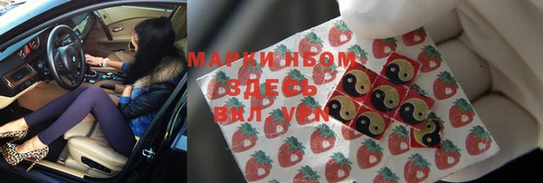 шишки Вяземский