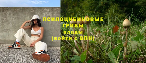 трава Вязники