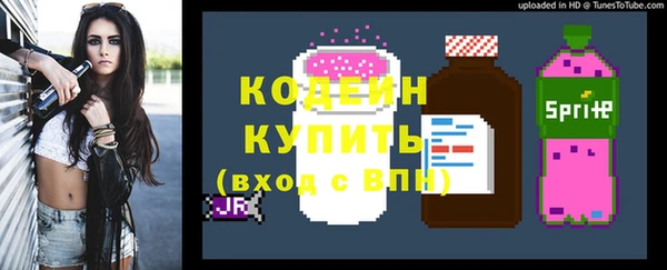 шишки Вяземский