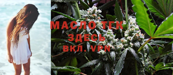 шишки Вяземский