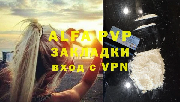 шишки Вяземский