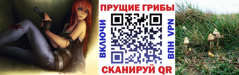 Галлюциногенные грибы GOLDEN TEACHER  Звенигород 